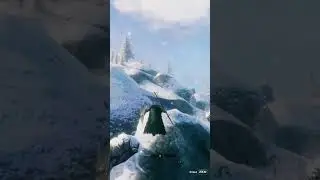 Valheim Почти воздушный бой