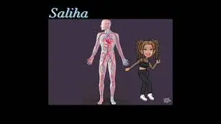 SİSTEMLERİN SAĞLIĞI/ avatarlar eşliğinde