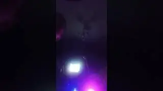 29 ноября 2023 г.