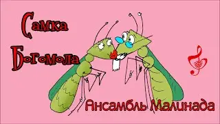 Ансамбль Малинада "Самка богомола", клип #samka_bogomola, #ansambl_malinada, #малинада, #umor_pesnya