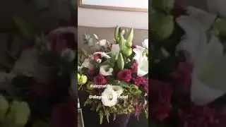 Aleyna tilki ifşa