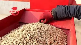 Peanut Shelling Machine remove red skin - Tel/Whatsapp: +86 156 2421 6398