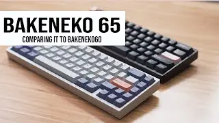 Bakeneko65 | Cannonkeys