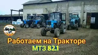 ЗАПУСК - Работаем на Тракторе МТЗ 82.1