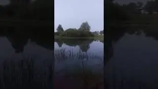 Рыбалка. Зачем платить.