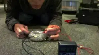 Rodin Coil Antenna Activation