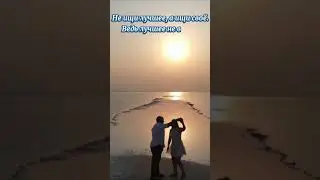 Ищи своё