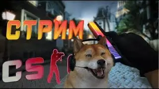 CS GO МЫ В ЗАСАДЕ НОЧНЫЕ ПОСИДЕЛКИ ПРИСОЕДИНЯЙСЯ | ОБЩЕНИЕ
