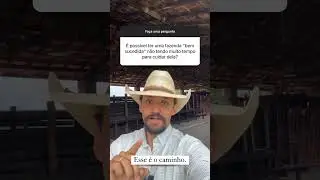 É Possível Ter uma Fazenda Bem-Sucedida na Pecuária sem Dispor de Muito Tempo para Cuidar Dela? #boi