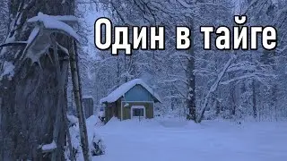 The second visit to the site, one in the taiga, a hut, a break from civilization.