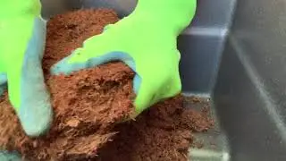 OUR WORM COMPOST BIN IS HERE!
