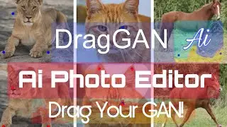 DragGAN Ai Photo Editor: A new era in image editing?