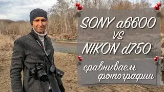 Sony a6600 vs. Nikon d750 | Photo comparison
