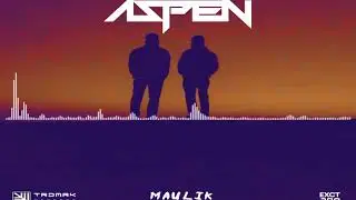 Maulik - Aspen