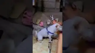 Yung ayaw mong magpagupit