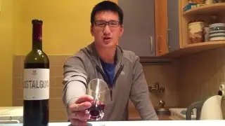 First Taste of Serbian Red Wine in Belgrade: Aleksić Nostalgija