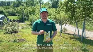 Живая масса птицы с Биодарином повышается на 15 20%