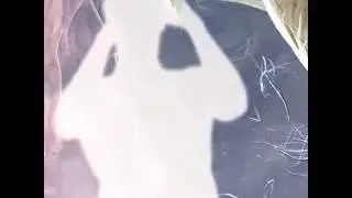 Shed Gods - 3. The Creaking of a Dream