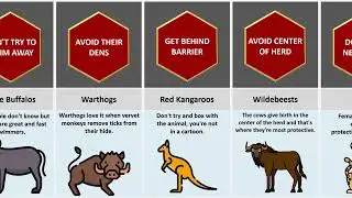 Comparison: Animal Survival Tips ( Part 1 )