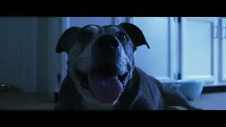 Fathom Farewell - Save Your Breath Ft. Justin Bonitz of Tallah (Official Music Video)