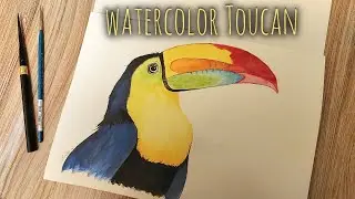 How to paint watercolor Toucan for beginners |@ArtandcraftbyShakira