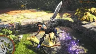 Monster Hunter World | 1st Main & Arena Quest (Jagras Of The Ancient Forest & Slay a Pukei-Pukei)