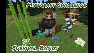 Survival Basics