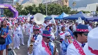 cape town carnival psv 2025