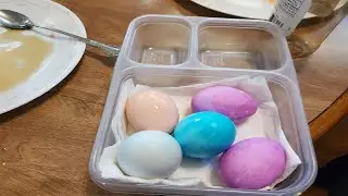 copyright claim, volcano eggs
