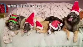 MOD第78台 ITV Choice 十二月歡樂聖誕(Festive Family Fun)