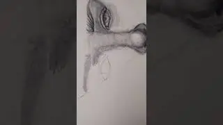 Karakalem 🤍 #instagram #shortvideo #reels #love #video #viral #video #shorts #youtubeshorts #youtube