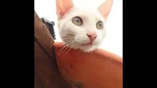 just hanging out