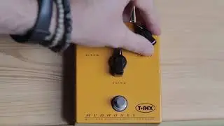 T-Rex MudHoney Prova Italiano