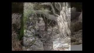 Fotografía Artística