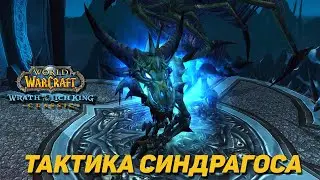 SINDRAGOSA - TACTICS CLK 25HM WOTLK CLASSIC