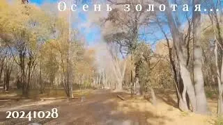 Осень золотая...