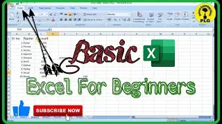Excel for Beginners| Ms Excel basic knowledge in hindi |  Ms Excel instructions #plg