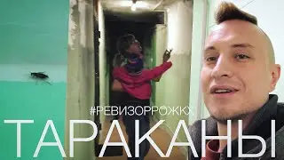 ТАРАКАНЫ 