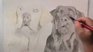 Montana & Remington - 2