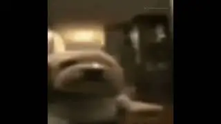 dog.