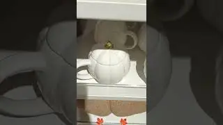 #shorts 🦊СИН🦝Осенняя Коллекция🍁