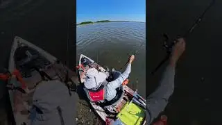 Ambushed! Kayak Shark Fishing