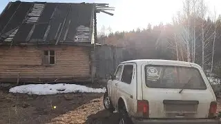 На Ниве по весеннему лесу, КЛЕЩИ, ЗМЕИ🐍КОСУЛЯ