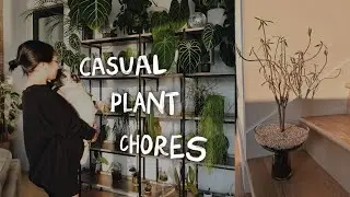 let's do plant chores together 🪴🧽