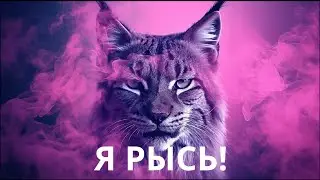 Почему рысь? V2 | Рысфил