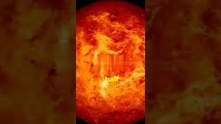 Venus🤔#shorts #viralvideo