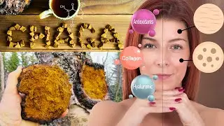 Chaga: O Elixir para uma Pele Mais Jovem e Radiante, veja seus Benefícios, ativos, estudos