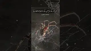 3 August 2023