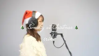 素敵なクリスマスイブの夜に！スティーヴィー・ワンダーの名曲『Someday at Christmas』 eriko（ボーカル）蓮見昭夫（ギター）