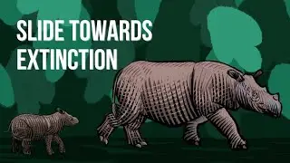 How the Sumatran rhino became critically endangered